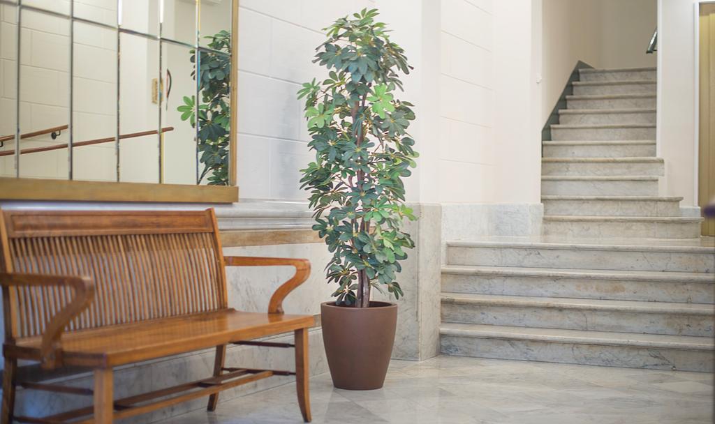 Anakena House Bed & Breakfast Barcelona Ngoại thất bức ảnh